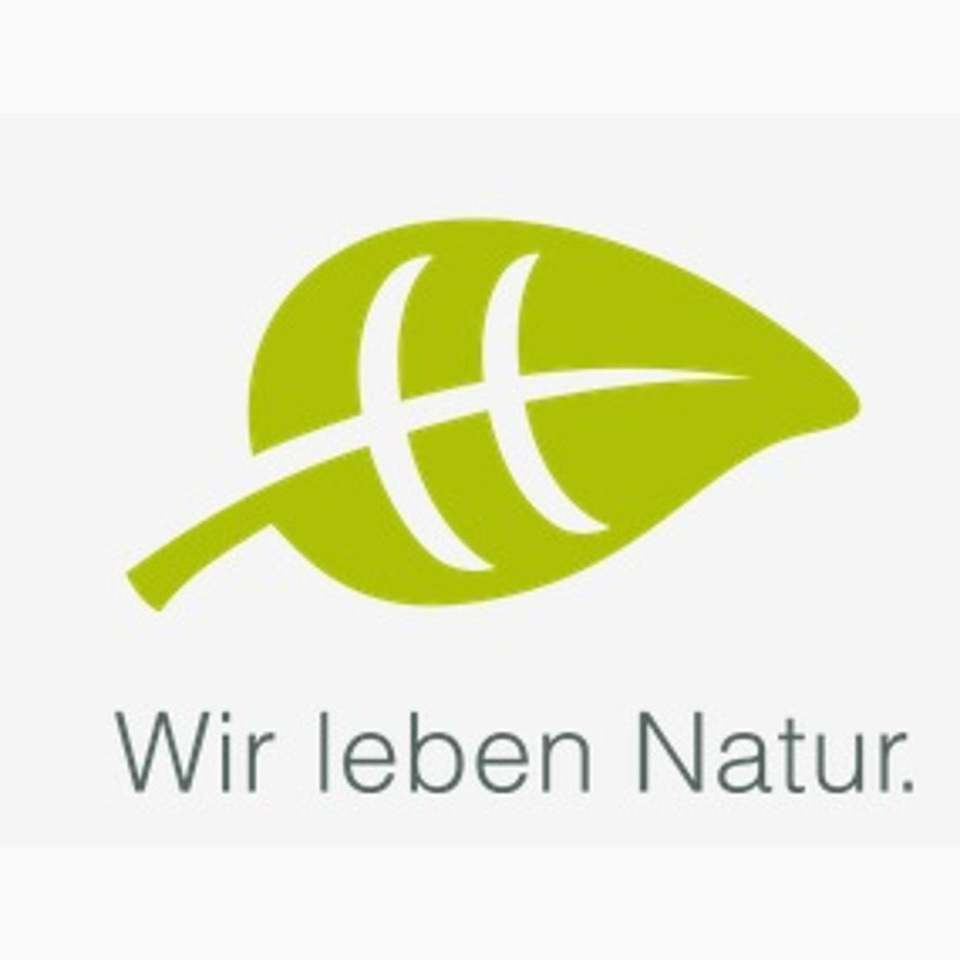 Opallönn – Acer opalus - C12